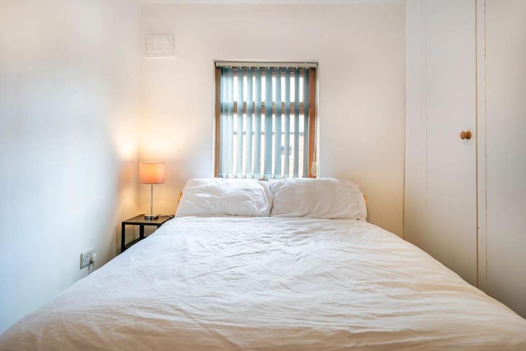 Hébergement de vacances Modern 3 Bedroom House Close To Ferry And Centre Belfast